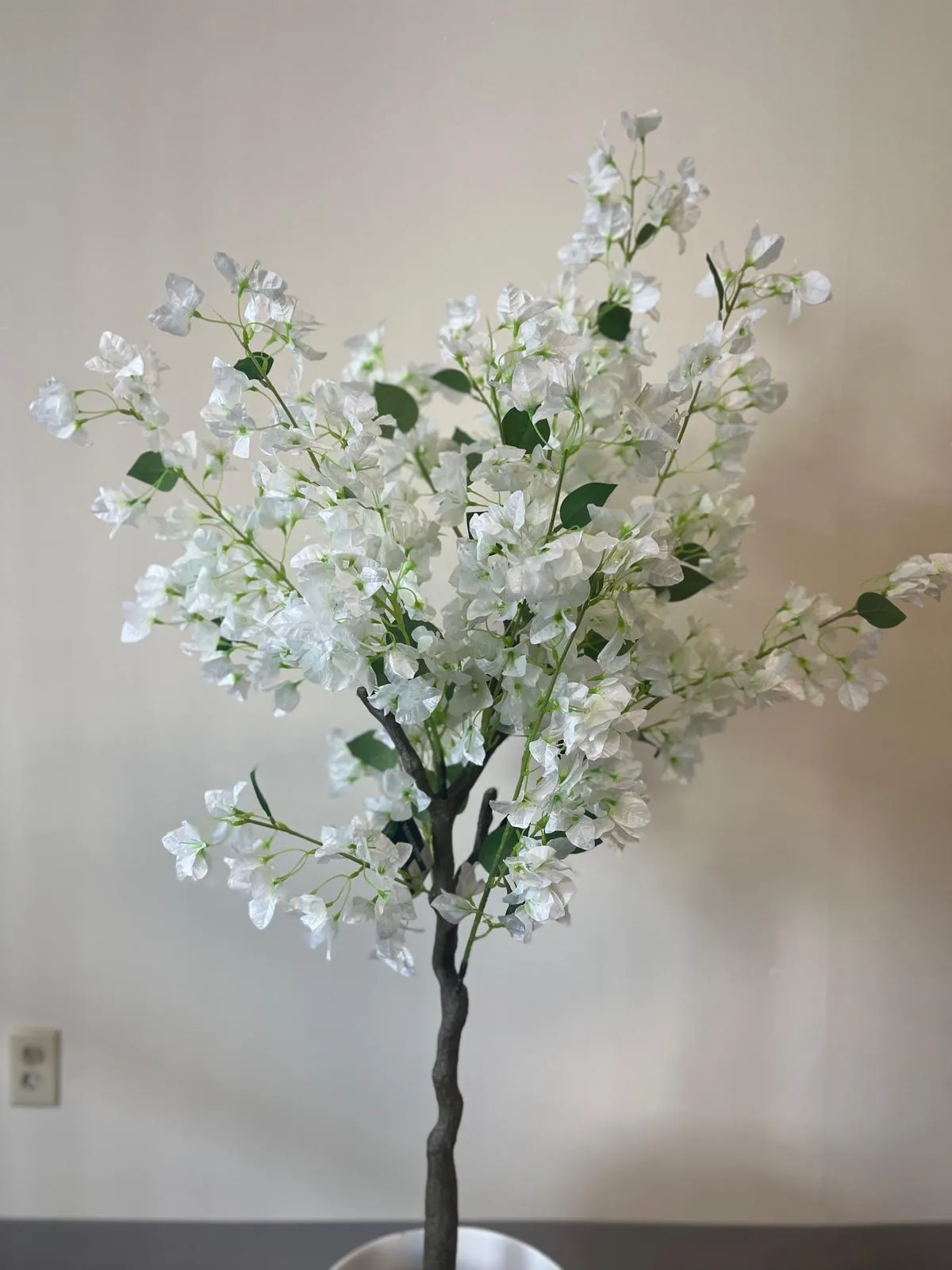 Artificial Bougainvillea tree (white) -5'