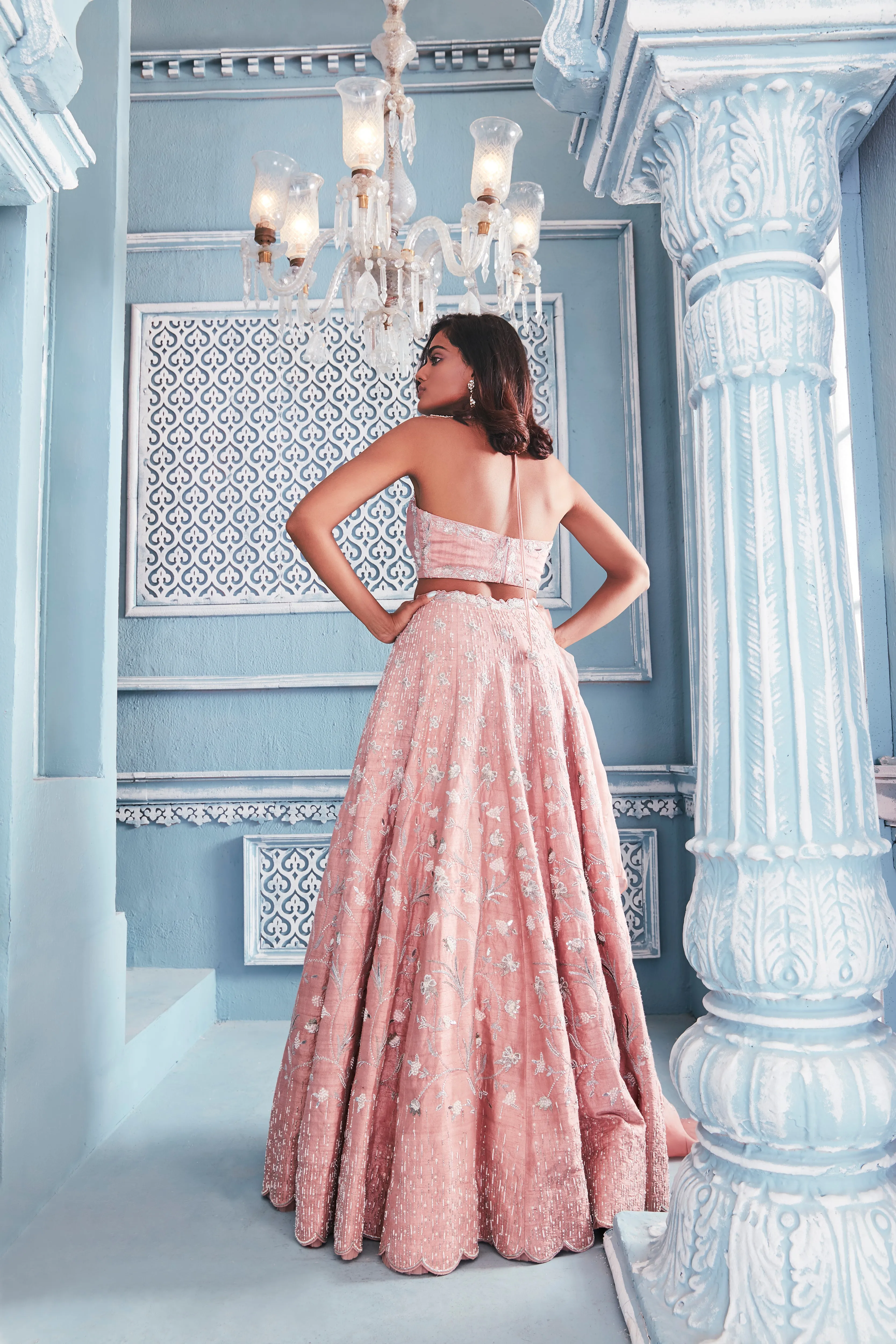 Backless Blouse with Heavy Embellished Lehenga Set