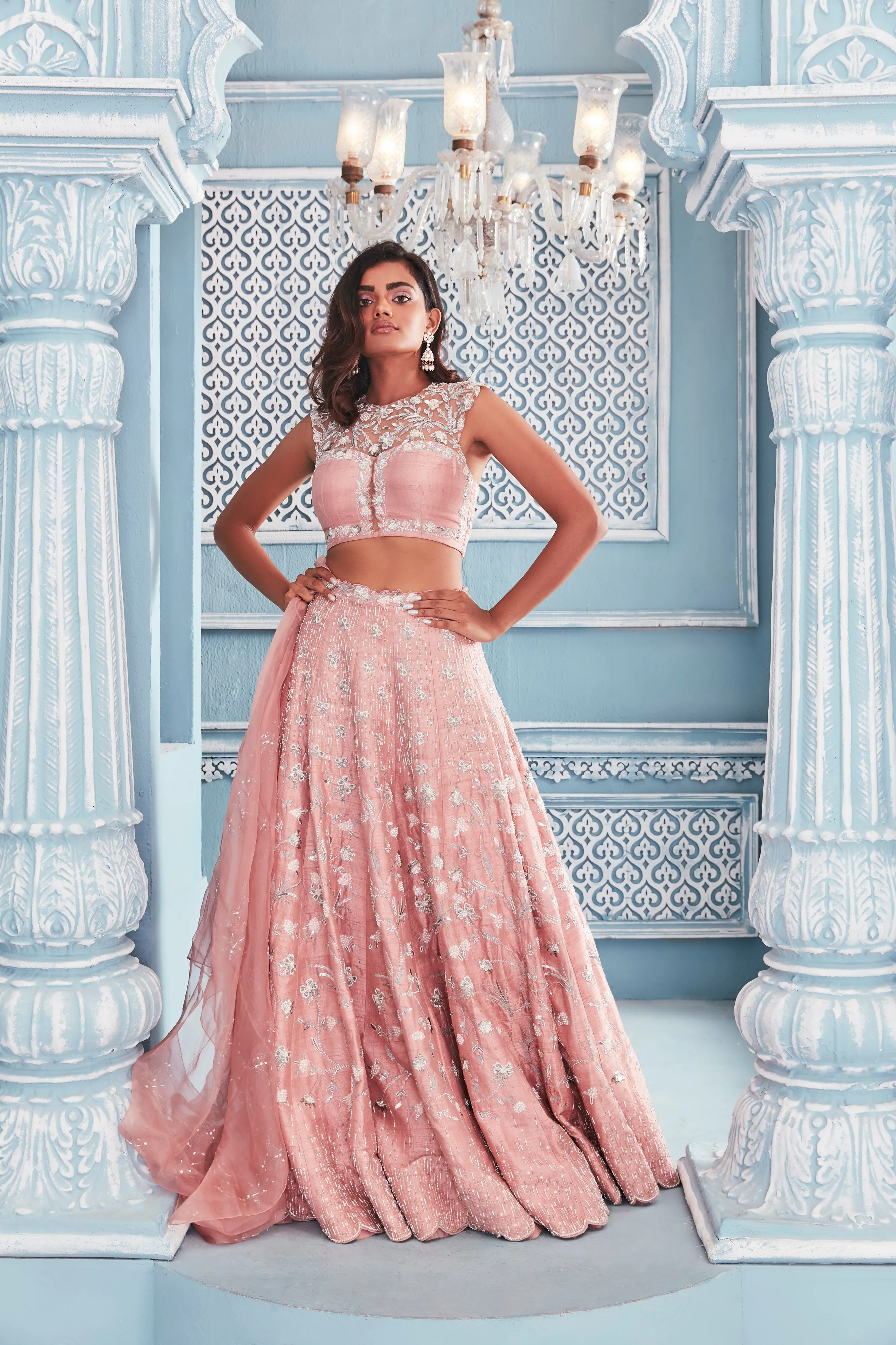 Backless Blouse with Heavy Embellished Lehenga Set