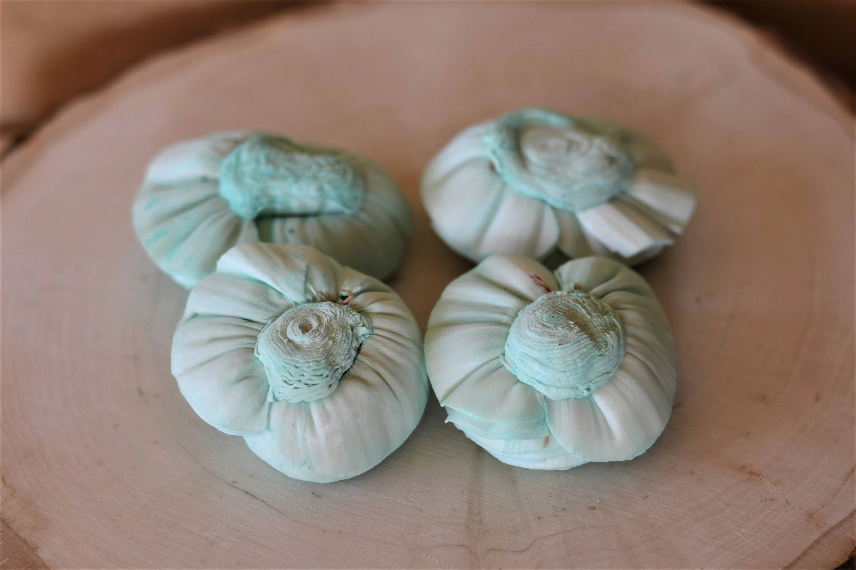 Mint Sola Wood Shell Flowers ( Set of 12 )