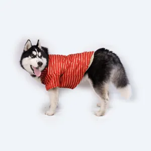 Pawgypets Occasion Wear Gota Shirt for Dogs and Cats (Red)