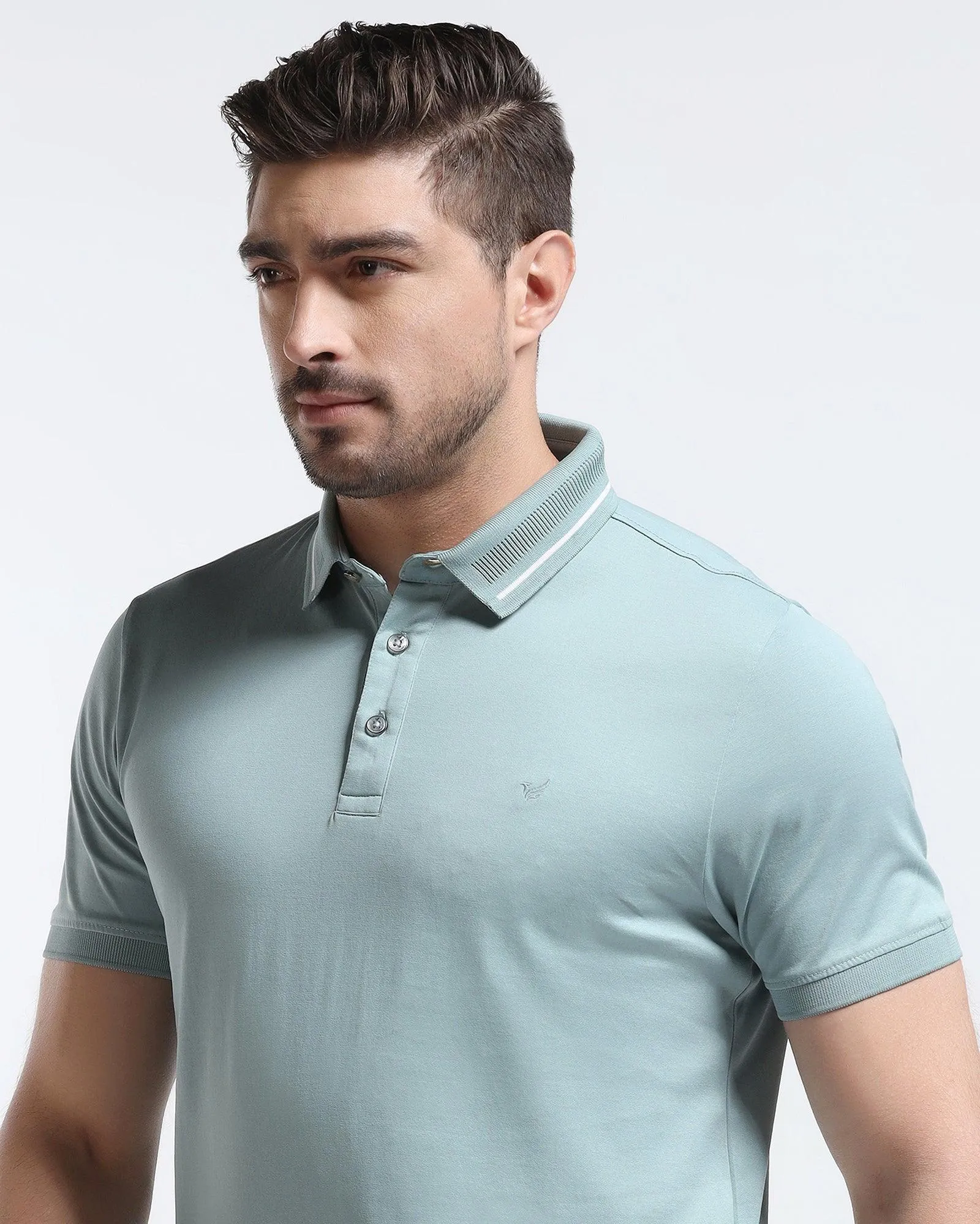 Polo Mint Green Solid T-Shirt - Peter