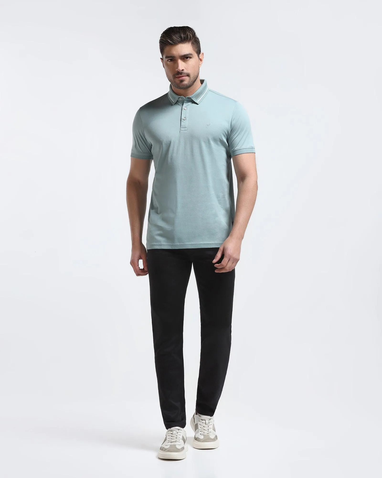 Polo Mint Green Solid T-Shirt - Peter